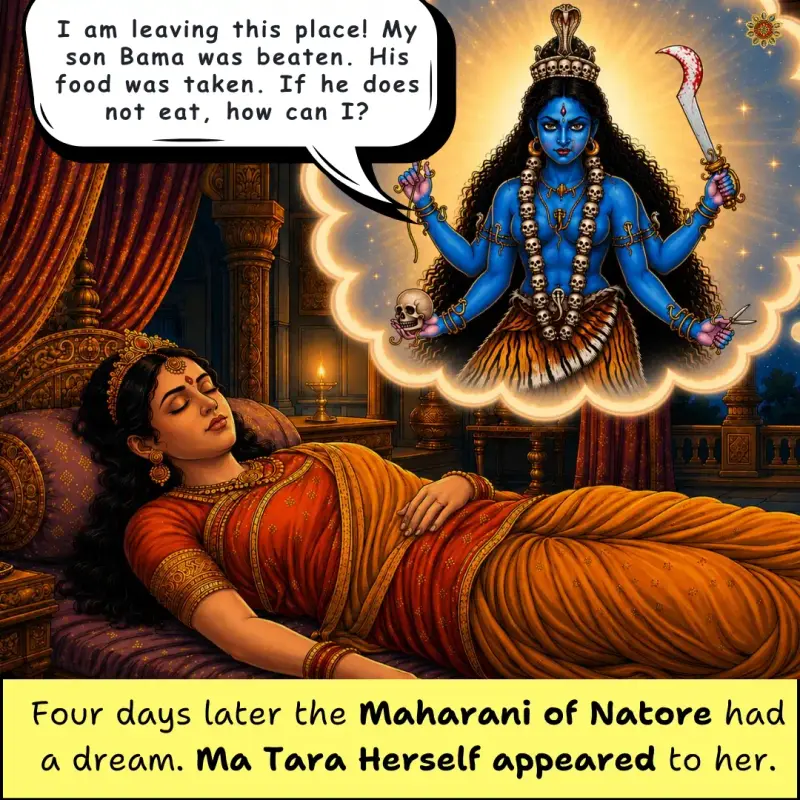 7 (6)