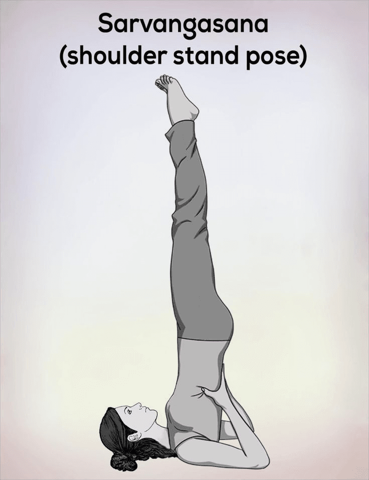 A black-and-white illustration of a woman in Sarvangasana.