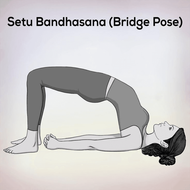 A black-and-white illustration of a woman in Setu Bandhasana.