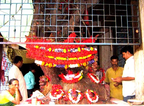 सोष्ठी ताल का एक फ़ोटो, जिसमें एक छोटा पवित्र वेदी कैक्टस के वृक्ष के नीचे स्थित है, जो तीन देवियों — सोष्ठी, सीतोला और मङ्गल चण्डी — का प्रतिनिधित्व करता है।