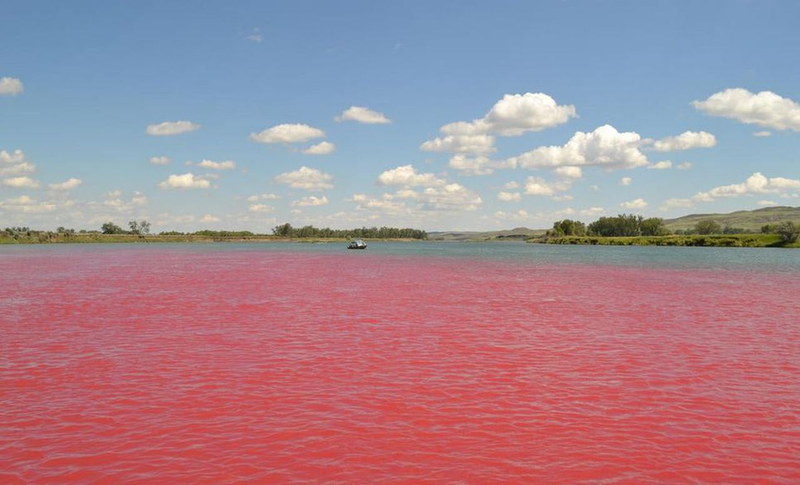 A photo of the Brahmaputra River after it has turned red in colour.