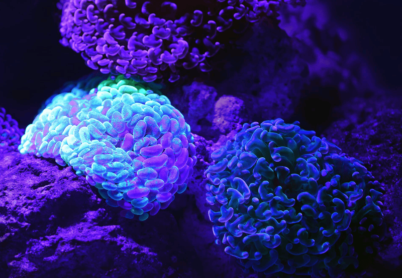 [Sample Post] Computational Biology Revolution Decoding Protein Folding with AI