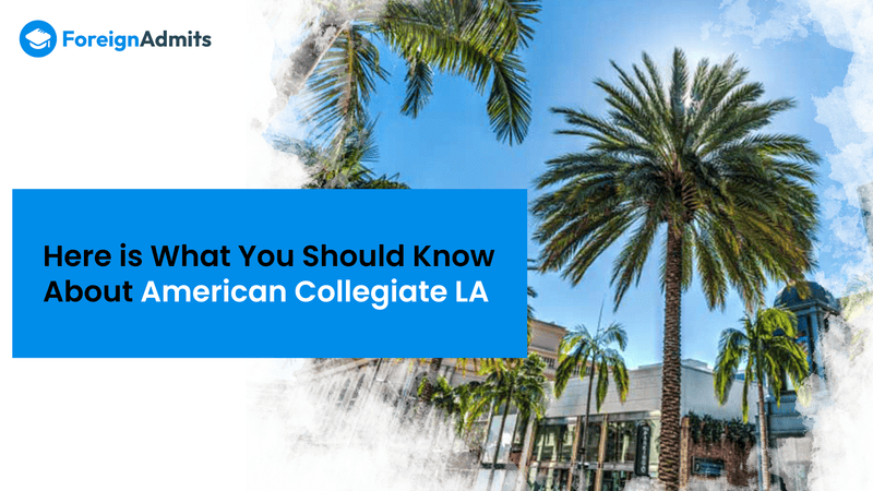 Here is What You Should Know About American Collegiate LA