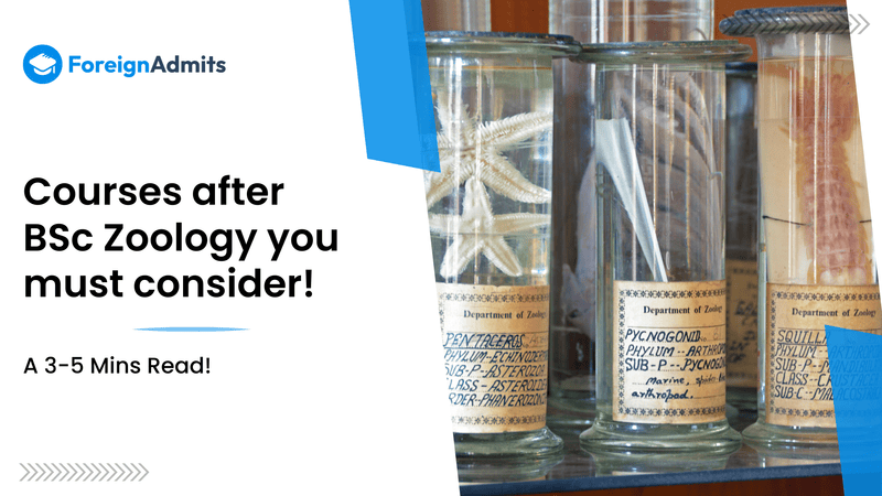 Courses after BSc Zoology You Must Consider