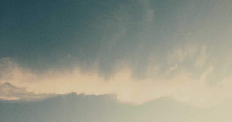 Claim Free Money from Government in 2026: Here's How