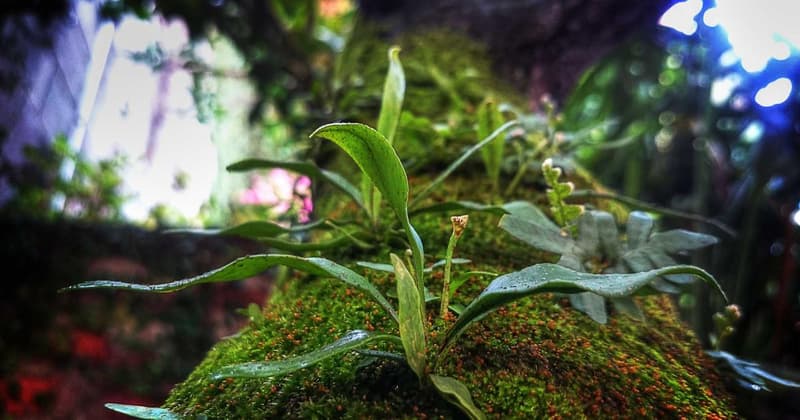 Make Credit Video: 5 Steps to Boost Your Credit Score in 2026