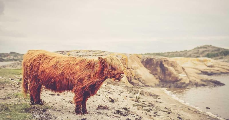 How to Dispute Credit Report on ClearScore in 2026