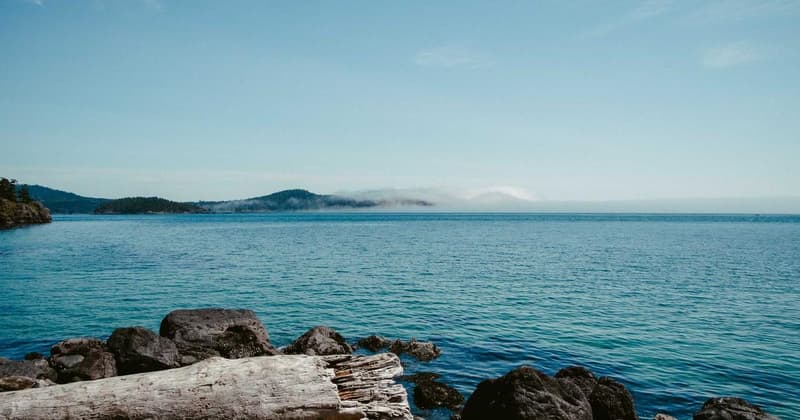 How to Pay Off Debt While Paying Bills in 2026