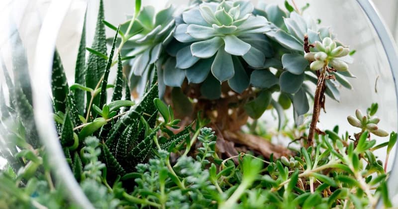 Lost Money Search Alabama: Find Unclaimed Funds in 2026