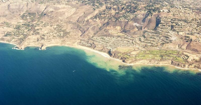 Unclaimed Money in South Carolina: How to Find Your Cash (2026)