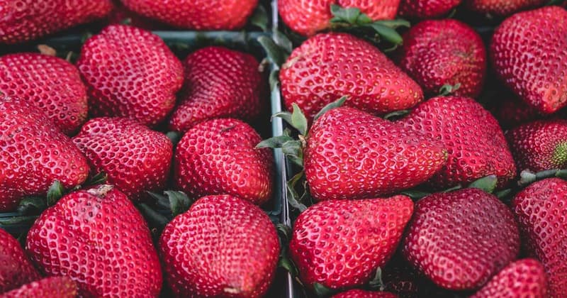 Avoid $200 in Bank Fees in USA (2026 Guide)