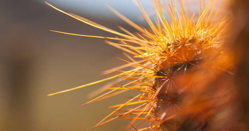 How to Lower Your Electric Bill Using Magnets in 2026