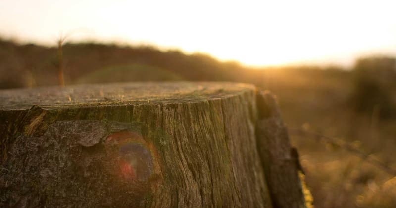 How to Budget Cash Deposits in 2026: Save $500+