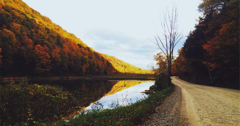 Credit Card Debt Settlement: Save Up to $1,200 in 2026