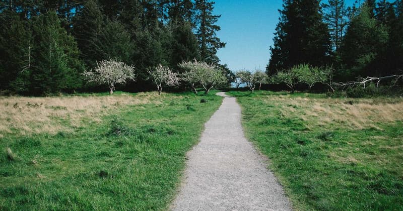 Build Credit on Rent: A 2026 Guide to Boost Your Score