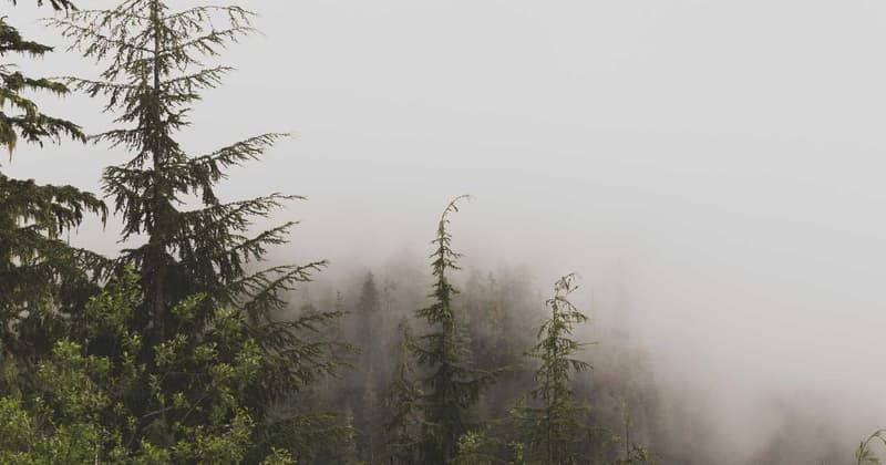 Low Income Insurance Kansas: Save $200+ in 2026