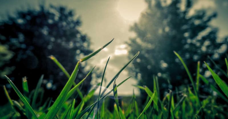 How to Apply Online for Your Stimulus Check in 2026