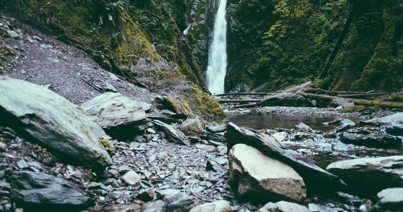 How to Lower Cable Bill for Seniors: Save $300 in 2026