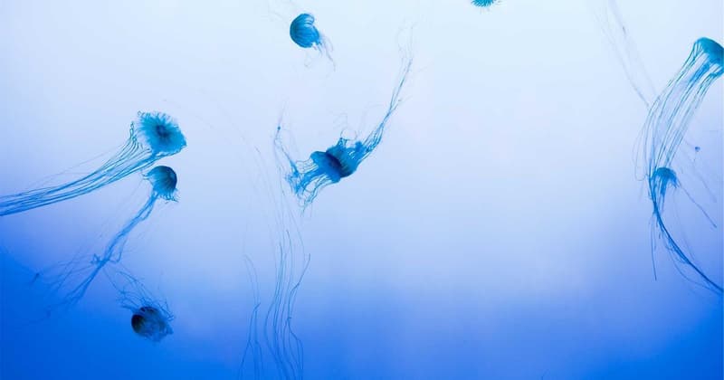 How to Find the Lowest Health Insurance in 2026