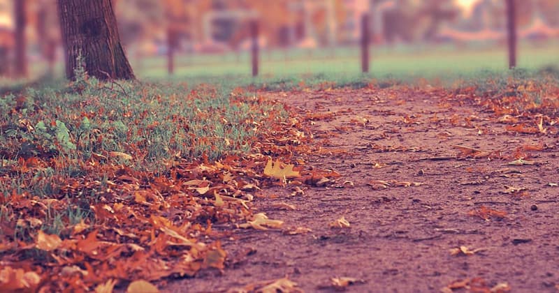 Does Klarna Improve Credit Score UK? What to Know in 2026