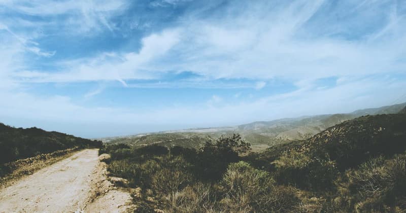 Avoiding Bank Fees at Kiwibank: Save $200+ in 2026