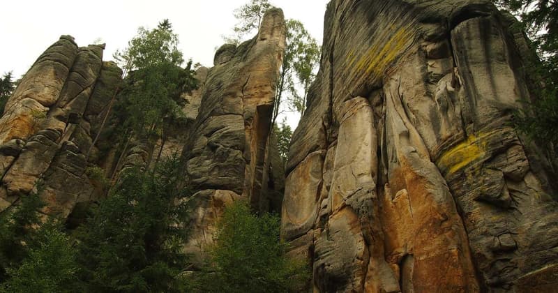 Insights into Zohran Mamdani's Net Worth in 2026