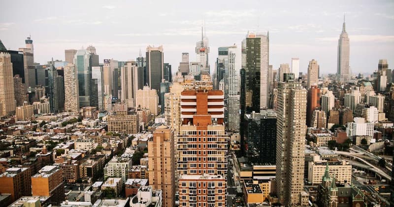 Mint Leaves Alternatives: How to Save $312 in 2026