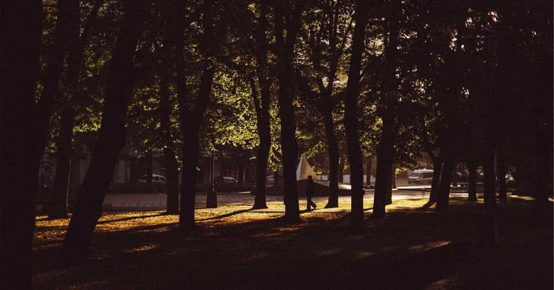 Refinance Auto Loan Experian: Save $300+ in 2026