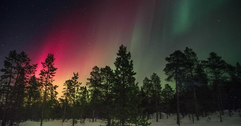 Credit Report Xactus 2026: What You Need to Know