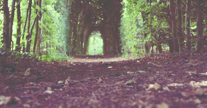 Debt Snowball Free Template: Pay Off Debt Faster in 2026