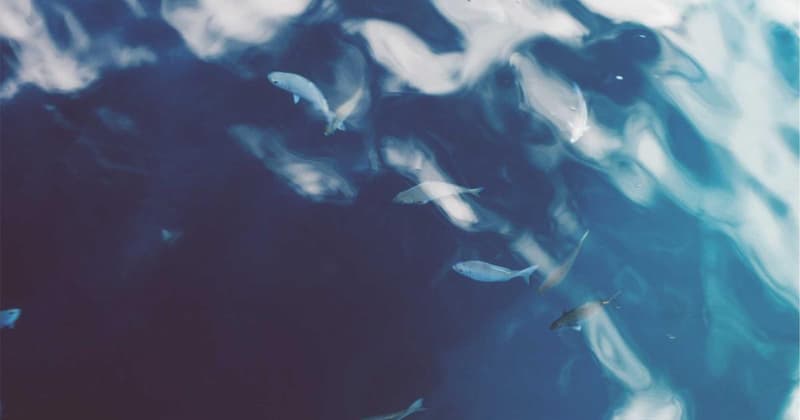 Refinance Zable Loan: Save $1,200 in 2026