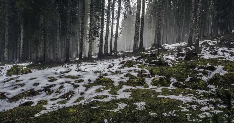 Lower Electric Bill Device: Save Hundreds in 2026