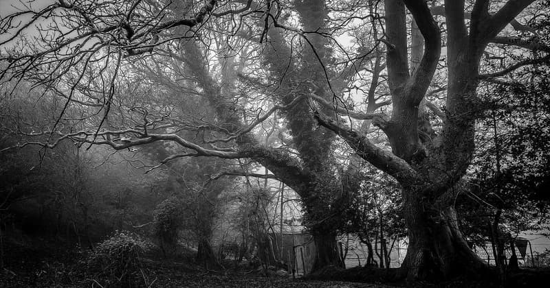 How Much Does Self Credit Builder Cost? Know in 2026