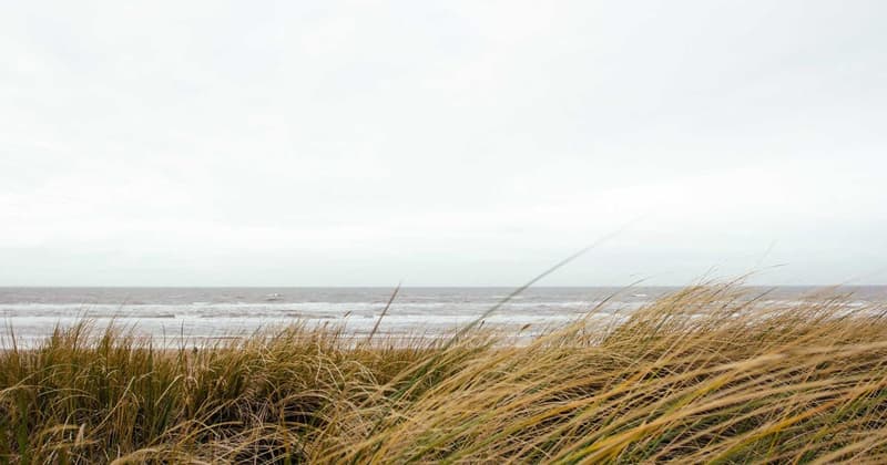 Avoid Bank Fees Youtrip: Save $300+ in 2026