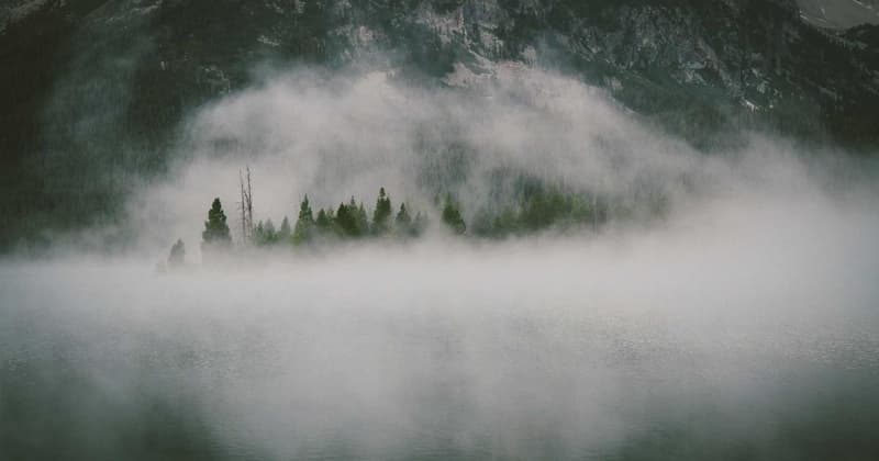 Credit Card APR Amex: Save $250+ on Interest in 2026