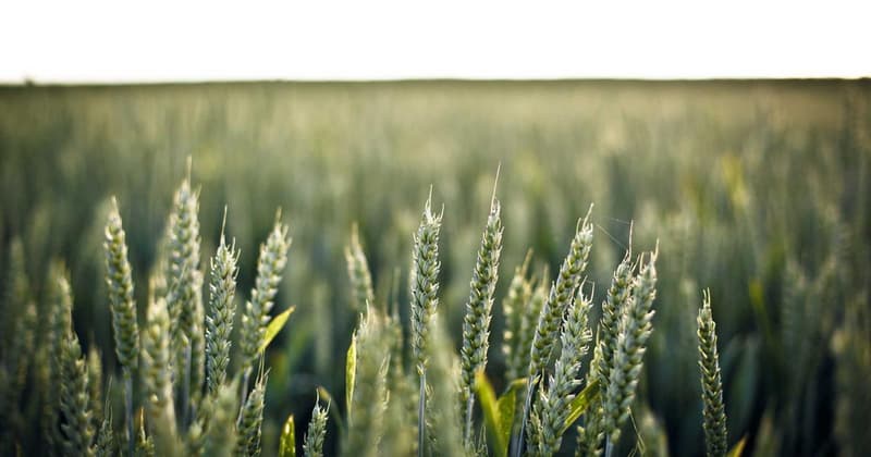 Claim Your Unclaimed Bank Account in India: 2026 Guide