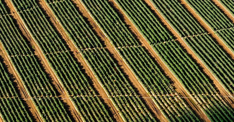 Purpose Financial Glassdoor: What You Need to Know (2026)