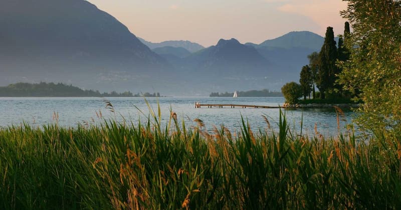 Debt Consolidation Number: How It Can Save You $500+ in 2026