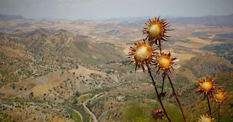 Emergency Fund Recommended Amount: What You Need in 2026