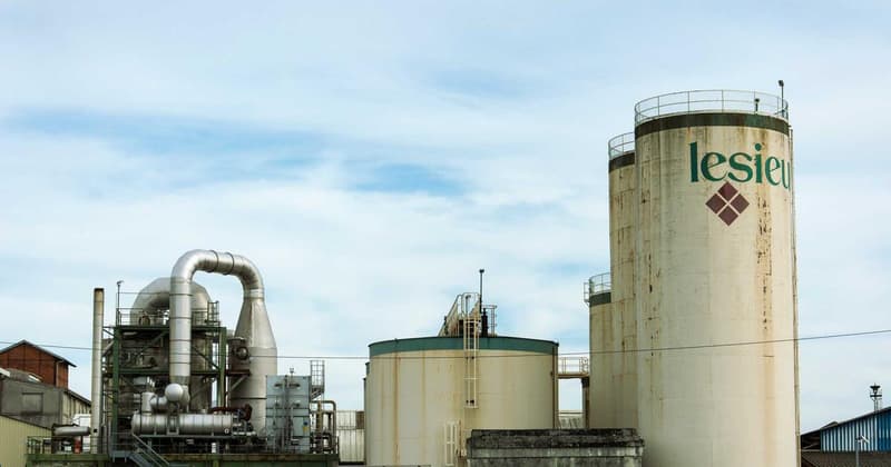 Does Your Credit Score Impact Job Opportunities in 2026?