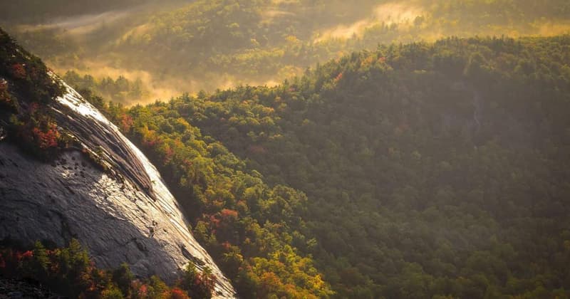 Credit Card Zero Interest No Transfer Fee: Save Big in 2026