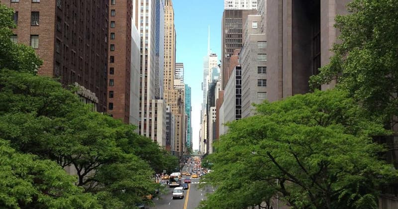 Net Worth Estimator: Boost Your Wealth in 2026