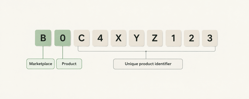 Example ASIN B0C4XYZ123 showing the B0 prefix and 10-character format