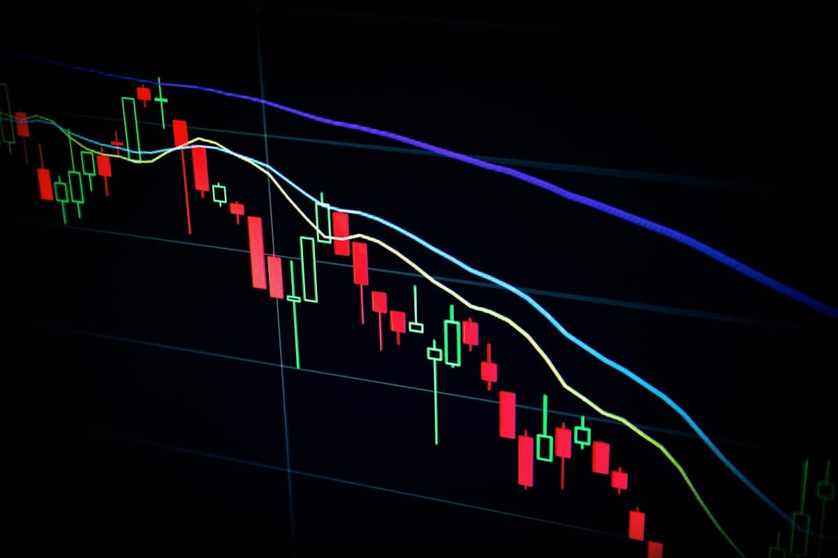 Amazon seller tracking cash flow and profit margin on financial dashboard