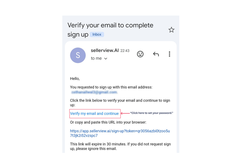 How-to-use - Sellerview Setup (2)
