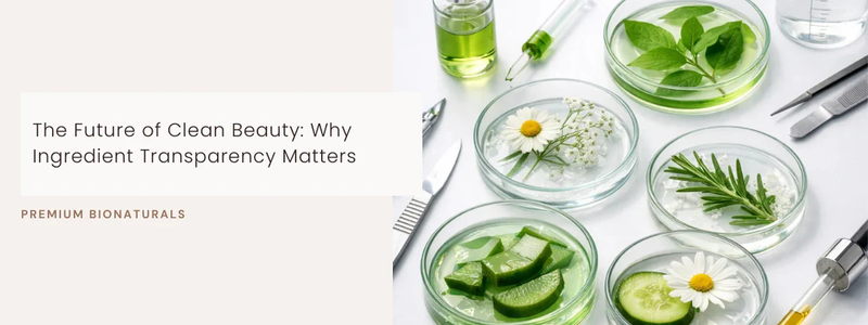 Ingredient Transparency in Beauty: Why It Solves Your Biggest Trust Issues