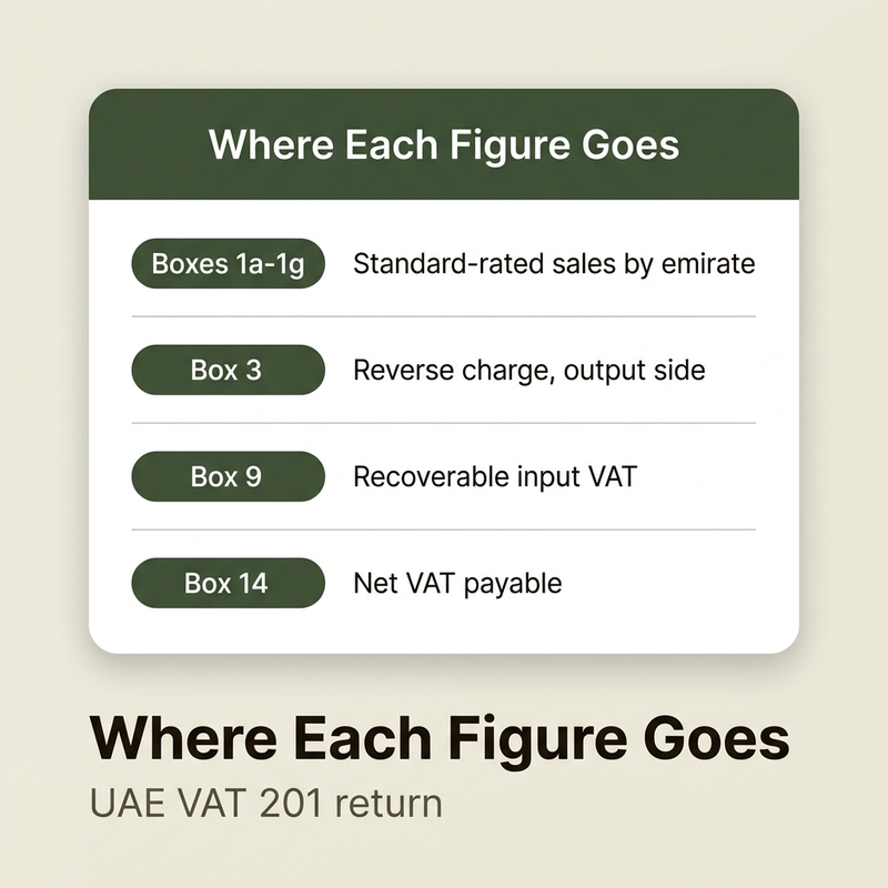 UAE VAT 201 return showing where each figure goes, a guide to VAT return filing in the UAE
