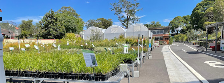 Plants and Green Houses in Randwick Community Nursery, Sydney