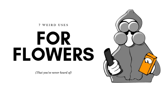 7 Weird Uses for Flowers (that you’ve never heard of)