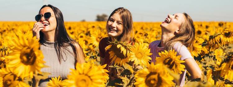 3 women smiling in a yellow sunflower field